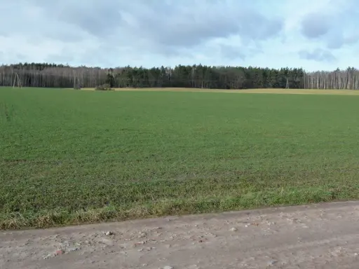 Co wybudować na działce rolnej? Poradnik dla każdego inwestora